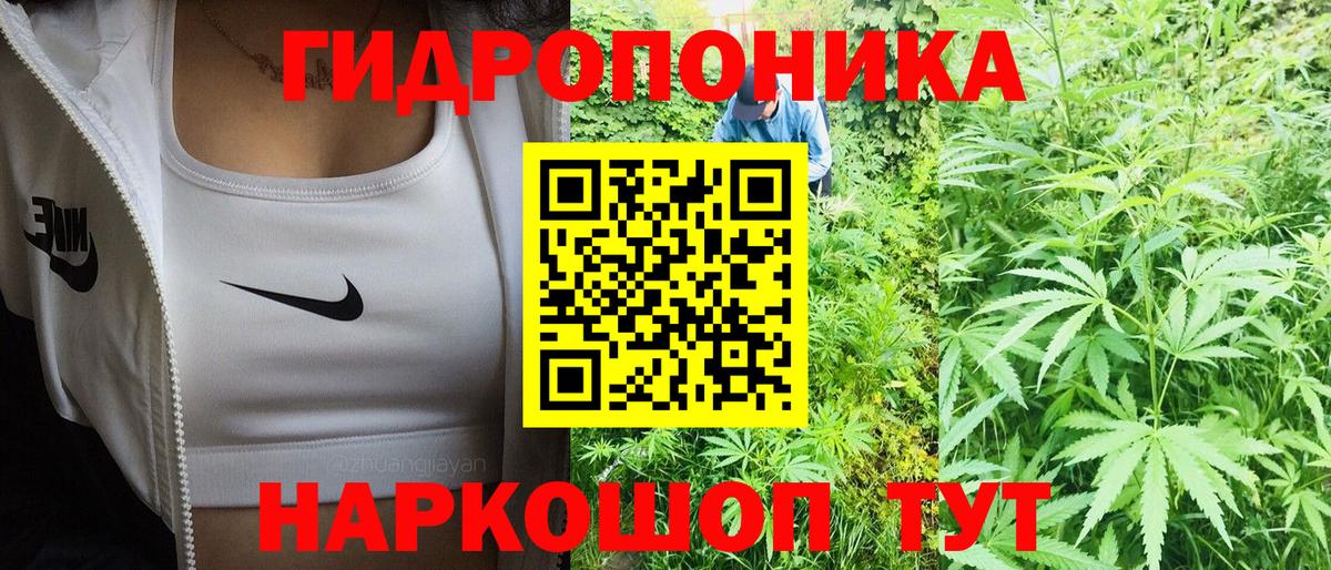 Бошки марихуана конопля Чусовой